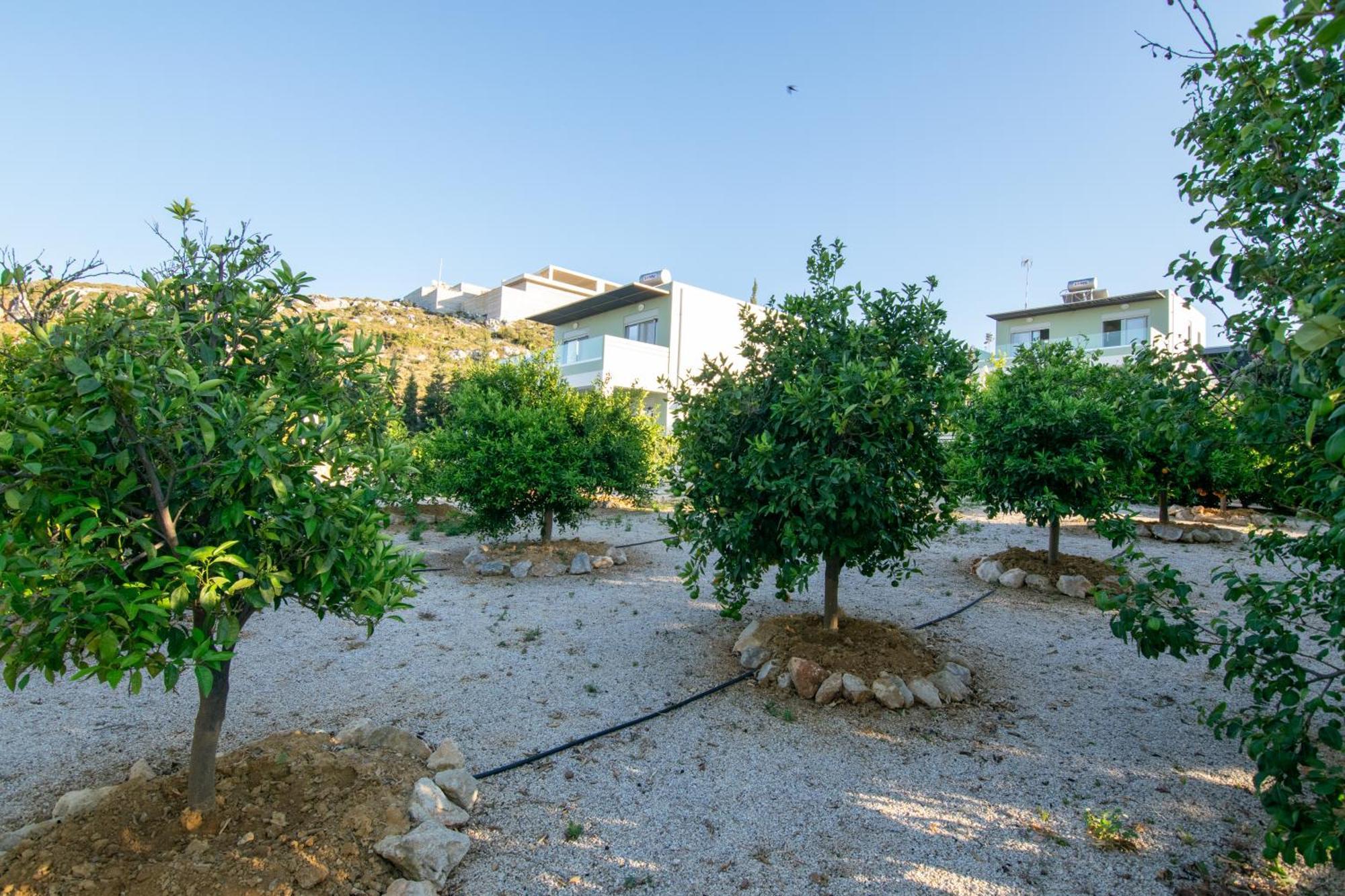 Κatakis Villas Agios Onoufrios Dış mekan fotoğraf