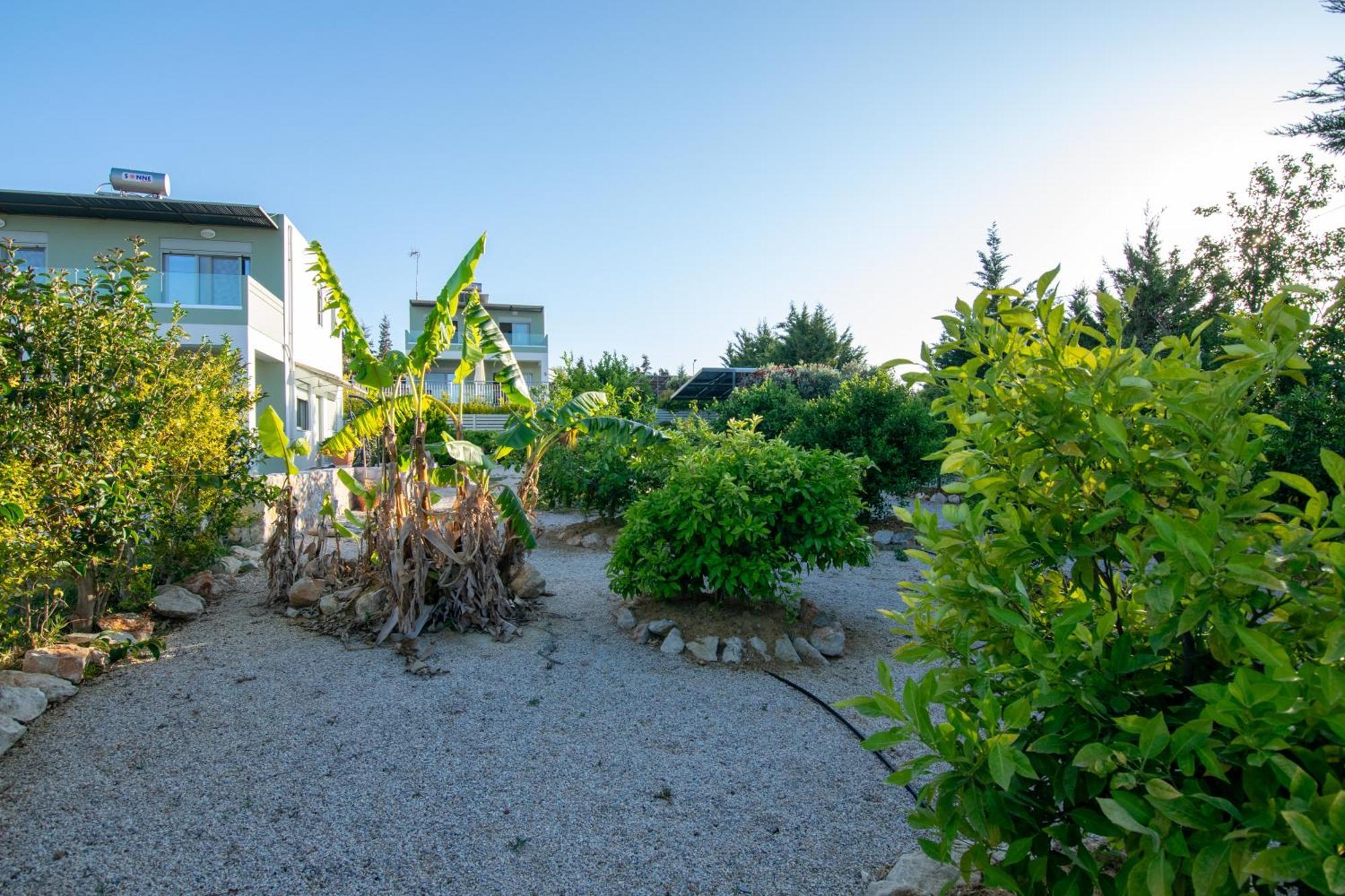 Κatakis Villas Agios Onoufrios Dış mekan fotoğraf
