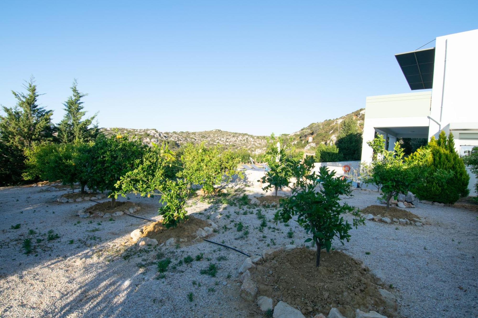 Κatakis Villas Agios Onoufrios Dış mekan fotoğraf