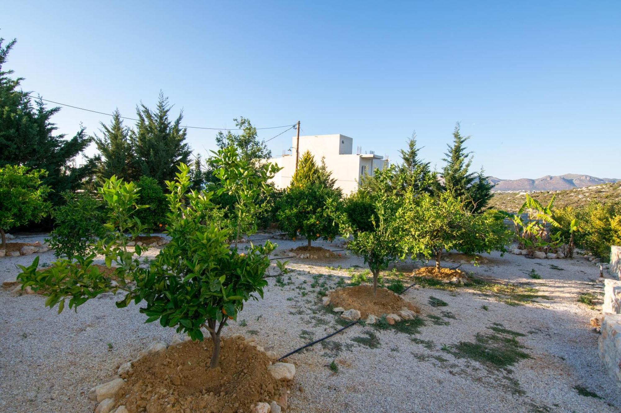 Κatakis Villas Agios Onoufrios Dış mekan fotoğraf