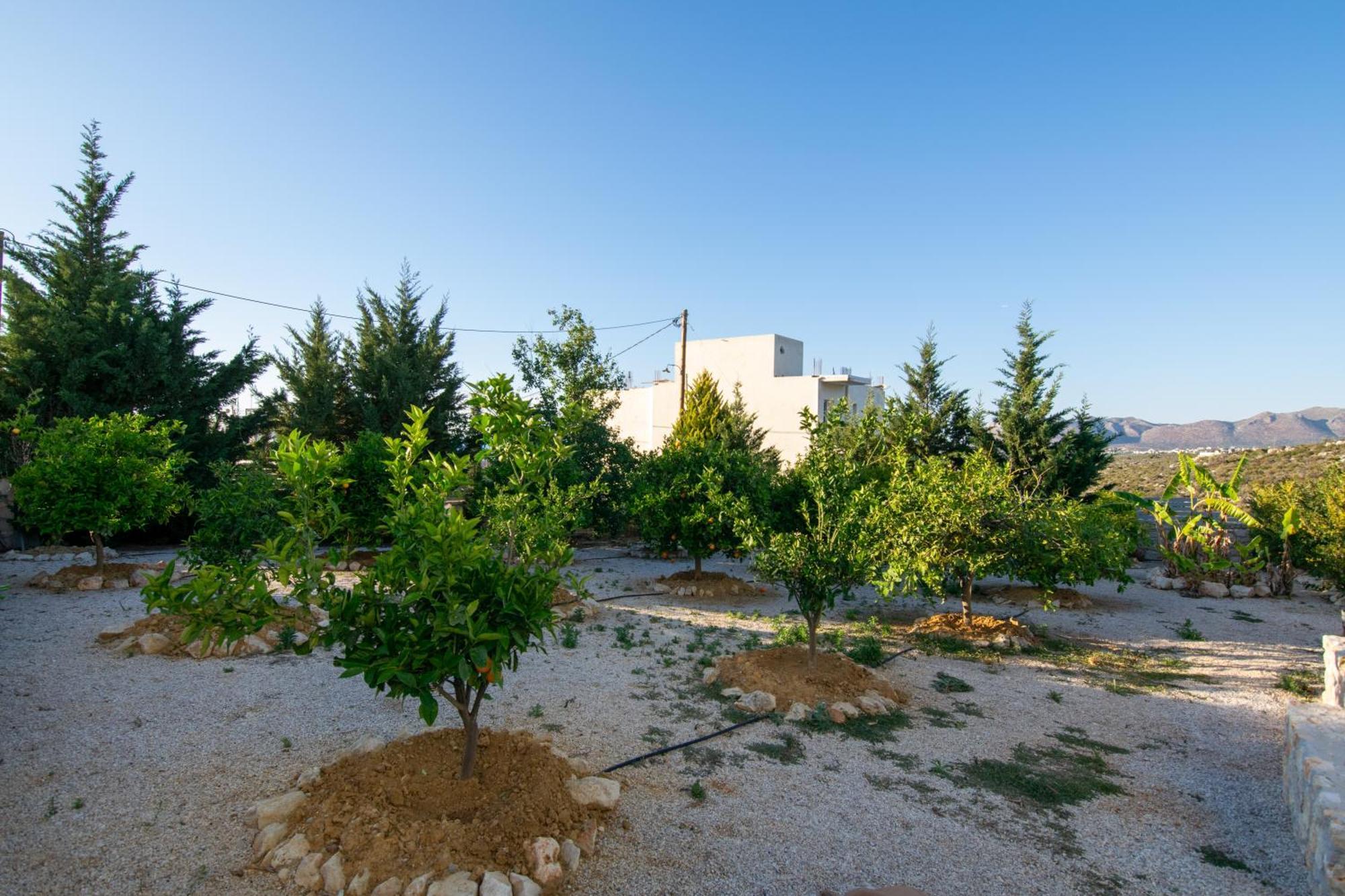 Κatakis Villas Agios Onoufrios Dış mekan fotoğraf